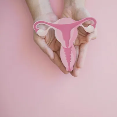 Mani che sorreggono un'illustrazione rosa dell'utero su fondo rosa